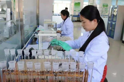 七星農(nóng)業(yè)技術(shù)推廣中心入選全國星級基層農(nóng)技推廣機構(gòu)