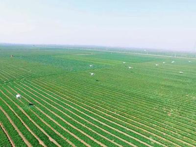 【訪談】標普農(nóng)業(yè),讓植保飛防真正落地生根!