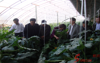 朔州科協(xié)請(qǐng)來專家現(xiàn)場(chǎng)指導(dǎo)科技服務(wù)(圖)_市直動(dòng)態(tài)_朔州頻道_山西新聞網(wǎng) - 主流媒體 山西門戶