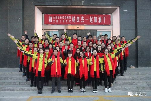 農業科技服務最后一公里的堅守與創新