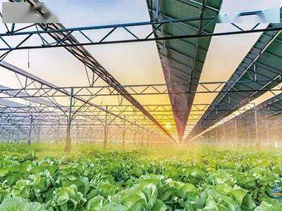 現代種業、鄉村新型服務業&hellip;國家鄉村振興局鼓勵社會資本投資這些涉農產業!