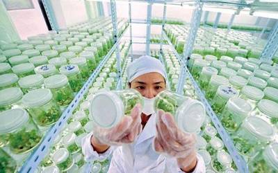 啥是高端農業(yè)?有哪些創(chuàng)業(yè)方向