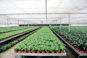 科技,讓現代農業(yè)告別&ldquo;靠天吃飯&rdquo;