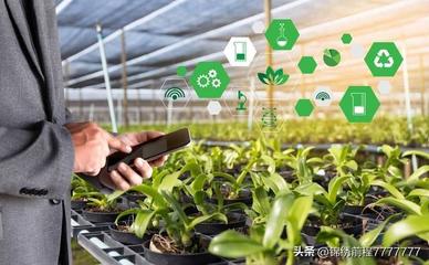 農村致富新途徑,多元化發(fā)展與科技創(chuàng)新