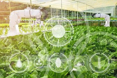 農業(yè)科技社會化服務體系建設如何加強?七部門發(fā)文部署