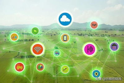 智慧鄉(xiāng)村對農業(yè)現代化進程的推動,智慧鄉(xiāng)村:引領農業(yè)現代化新時代。