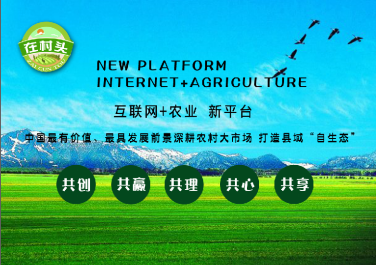 &ldquo;互聯網+&rdquo;優(yōu)秀案例:&ldquo;在村頭&rdquo;益農信息社電商平臺