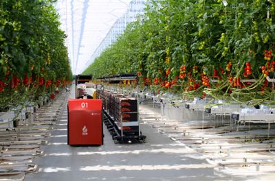 江蘇綠港-蒙城興農綠港現代農業(yè)科技產業(yè)園項目正式開工