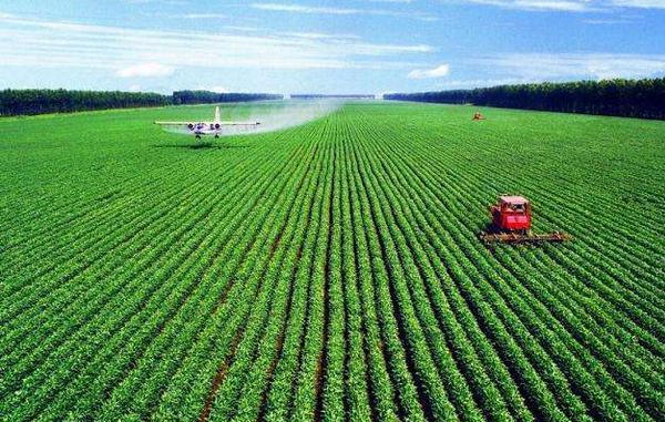 先進農業(yè)參考,我國未來農業(yè)應該是高科技行業(yè)!