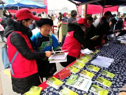 州農(nóng)業(yè)農(nóng)村局農(nóng)業(yè)科技志愿服務(wù)進(jìn)苗寨