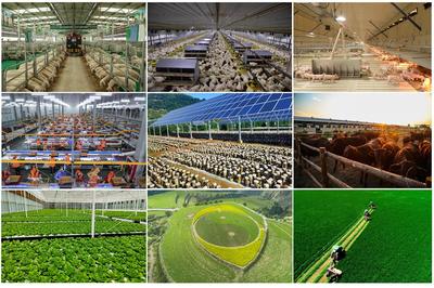 2023年慶陽(yáng)農(nóng)業(yè)農(nóng)村工作十大成效