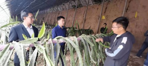 第91批中國博士后科技服務團走進山西天鎮