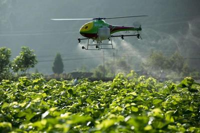 重磅|看京東、金少江、百果園、順豐如何淘金智慧農業