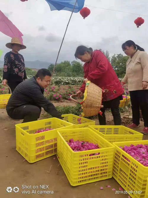 助力脫貧攻堅 團(tuán)團(tuán)大集開集啦