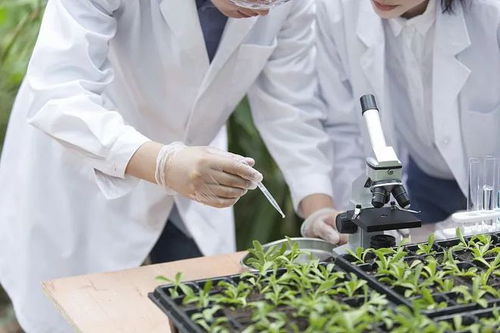 農(nóng)業(yè)農(nóng)村技術(shù)人才庫 實現(xiàn) 人盡其才,才盡其用 的路徑