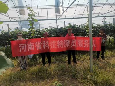 河南省科技特派員王尚堃赴鄲城縣開展&lsquo;陽光玫瑰&rsquo;葡萄栽培管理技術(shù)服務(wù)指導(dǎo)