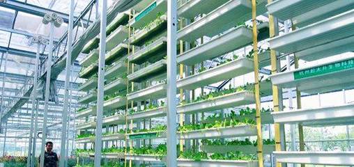 蕭山供銷(xiāo)聯(lián)社農(nóng)資公司:推廣為農(nóng)服務(wù)新模式,打造現(xiàn)代農(nóng)業(yè)新亮點(diǎn)