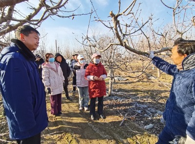 科技助農(nóng)到田間 服務(wù)果農(nóng)暖心田--開封市農(nóng)林科學(xué)研究院"四下基層"科技服務(wù)紀(jì)實(shí)