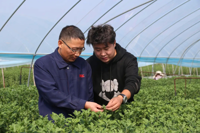 人保財險徐州分公司 以服務(wù)三農(nóng)為本，助推農(nóng)業(yè)保險高質(zhì)量發(fā)展