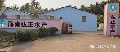 北方一代苗需求激增 行業(yè)亂象中的農(nóng)業(yè)科技服務(wù)新機遇