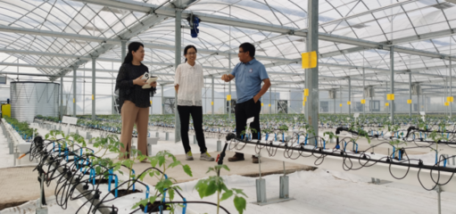 河南省科技支撐鄉(xiāng)村振興工作網(wǎng) 農(nóng)業(yè)科技服務賦能鄉(xiāng)村發(fā)展